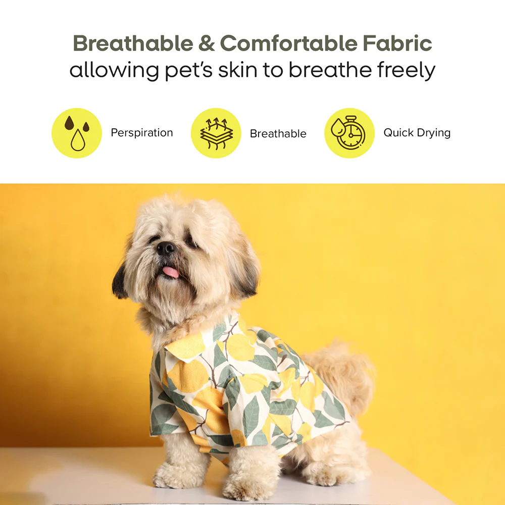15buttons Limon Shirt for Dogs - Image 7