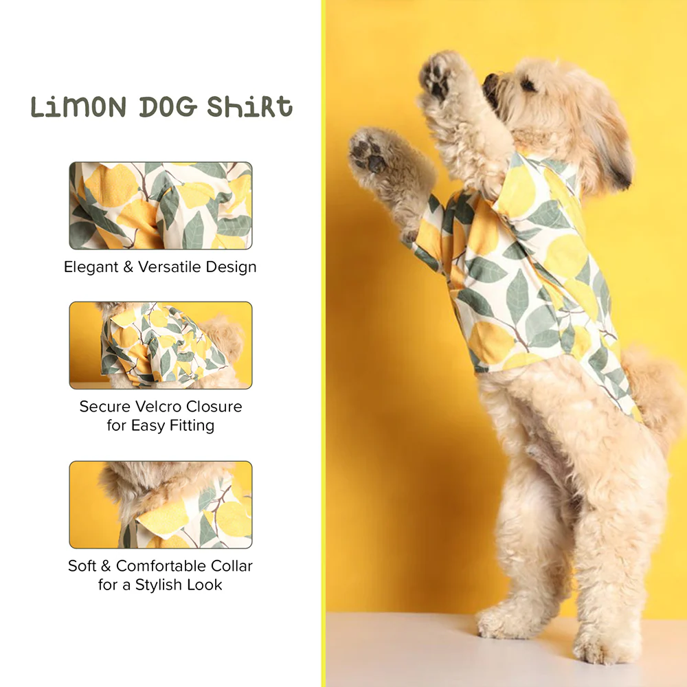 15buttons Limon Shirt for Dogs - Image 8