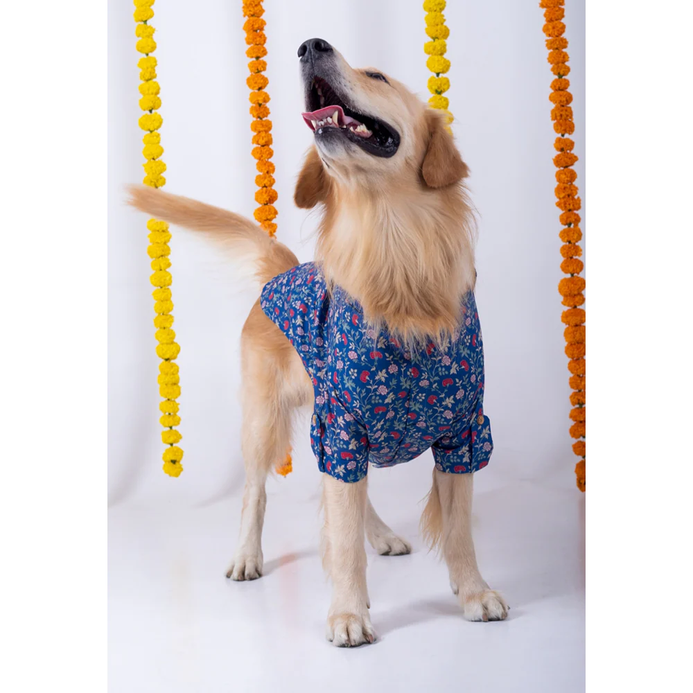 15 Furries Bageecha Kurta for Dogs - Image 2
