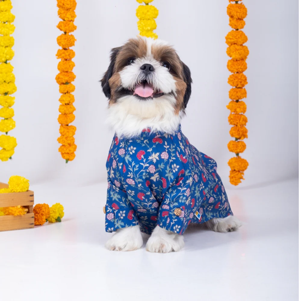 15 Furries Bageecha Kurta for Dogs - Image 3