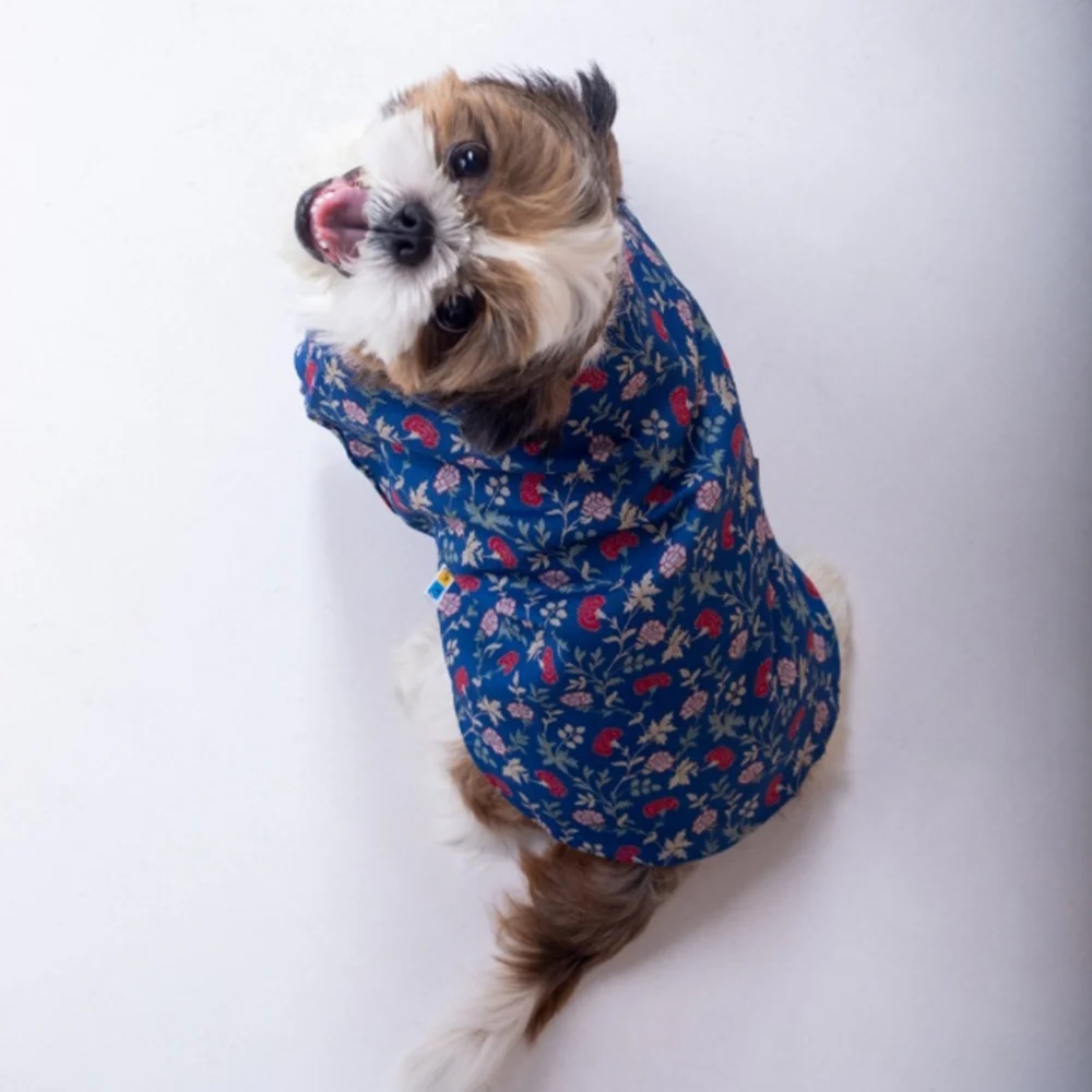 15 Furries Bageecha Kurta for Dogs - Image 5