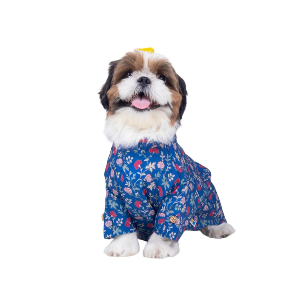 15 Furries Bageecha Kurta for Dogs - Image 6