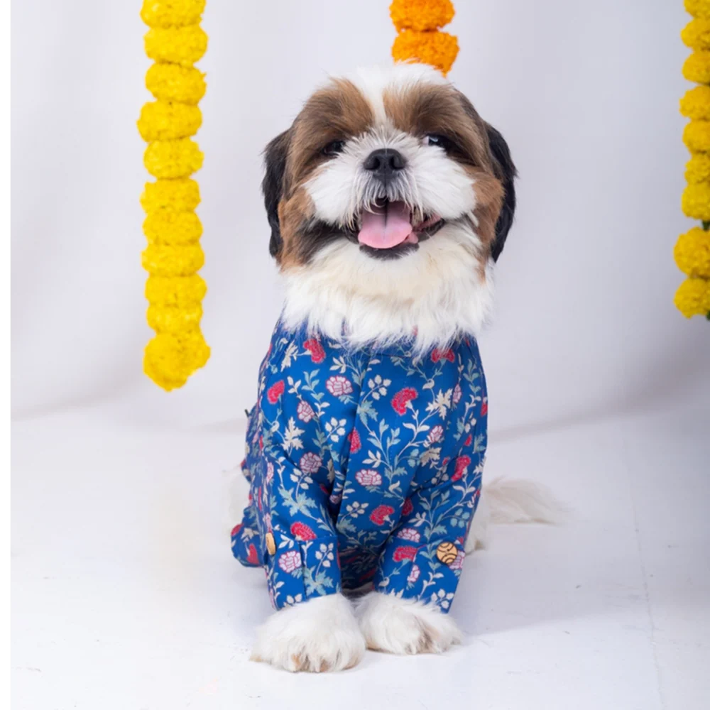 15 Furries Bageecha Kurta for Dogs - Image 7