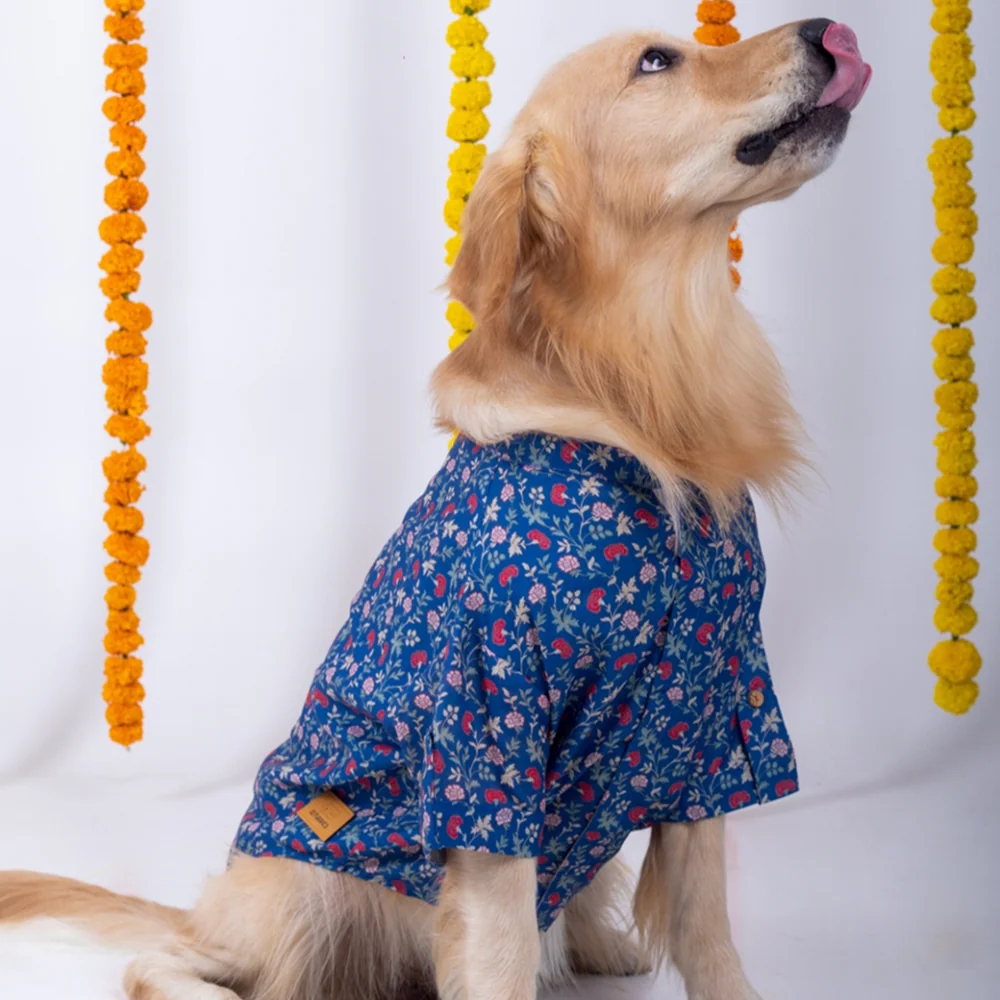 15 Furries Bageecha Kurta for Dogs - Image 8