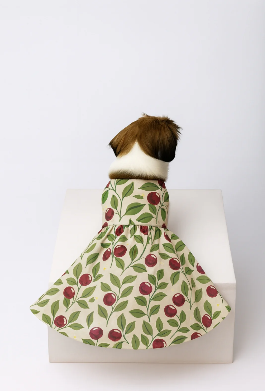 15 Furries Blushing Berries Dress for Dogs - Image 3