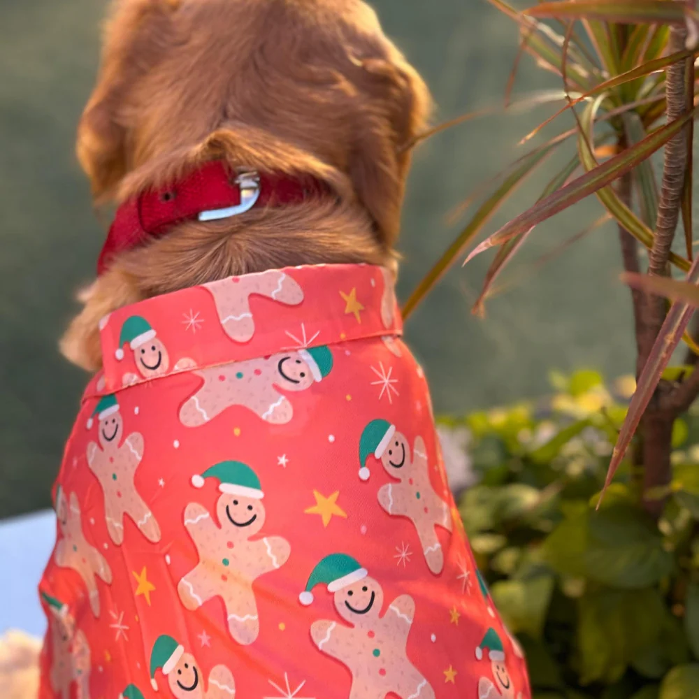15 Furries Gingerbread Man Tshirt for Dogs - Image 3