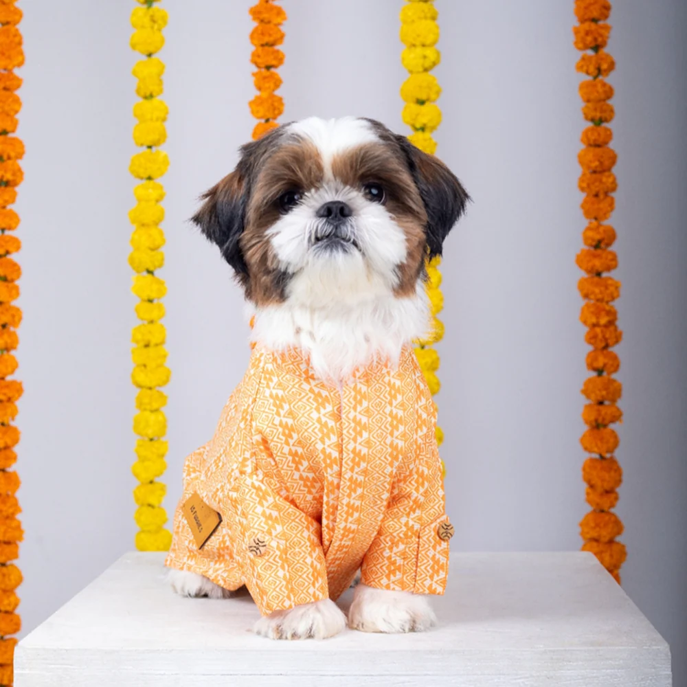 15 Furries Haldi Kurta for Dogs - Image 2