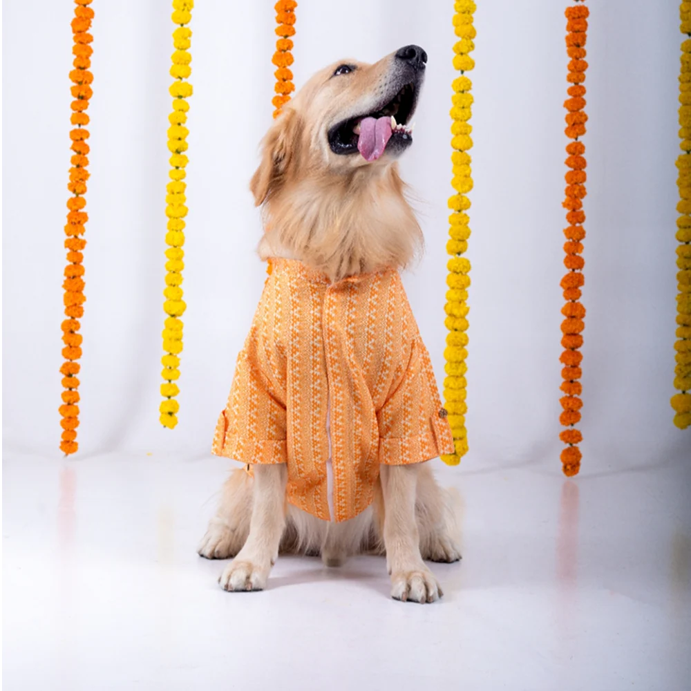 15 Furries Haldi Kurta for Dogs - Image 3