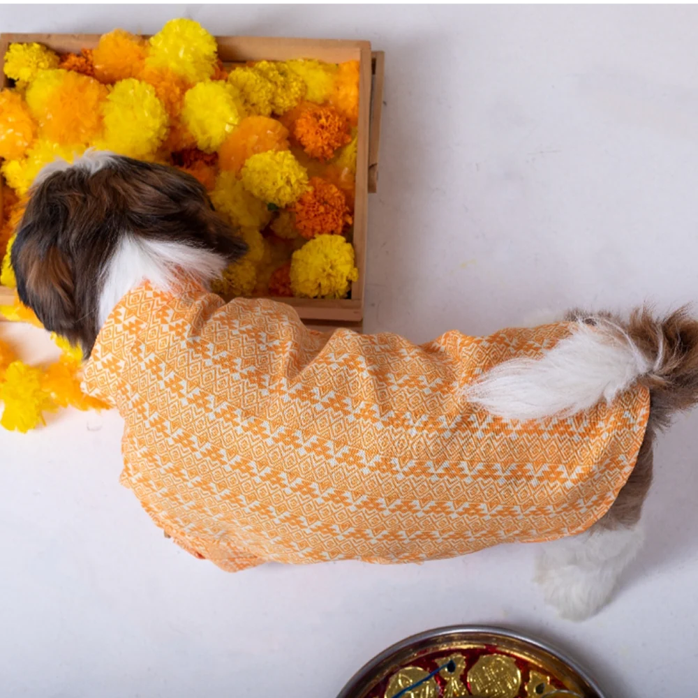 15 Furries Haldi Kurta for Dogs - Image 4