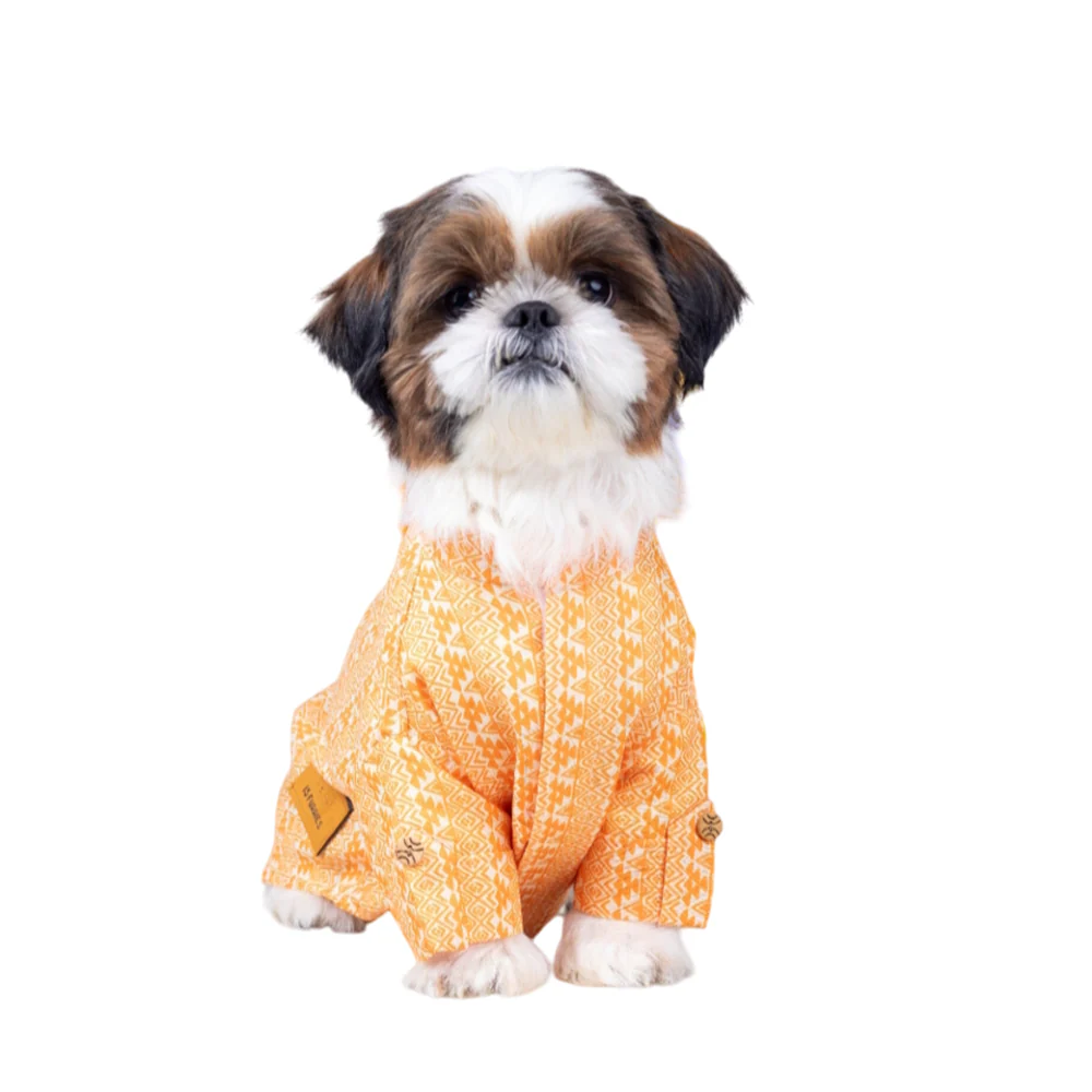 15 Furries Haldi Kurta for Dogs - Image 5