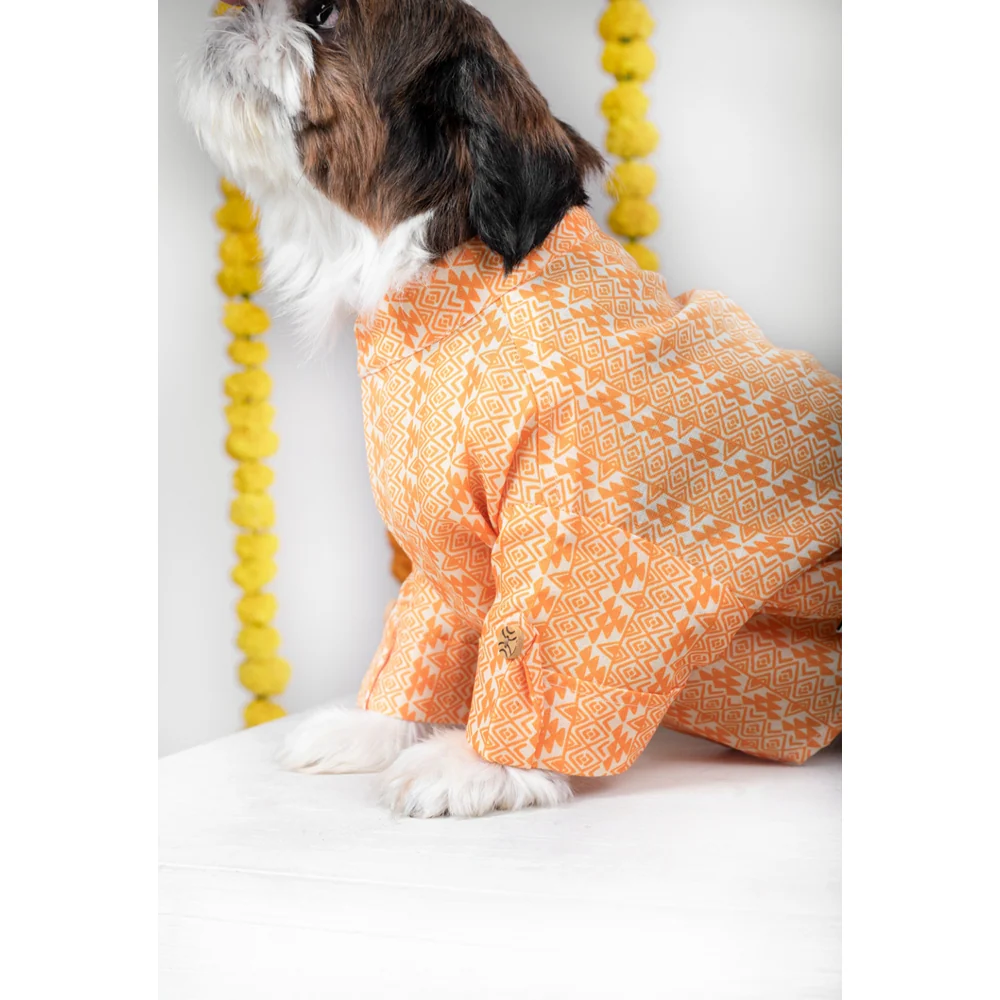 15 Furries Haldi Kurta for Dogs - Image 6