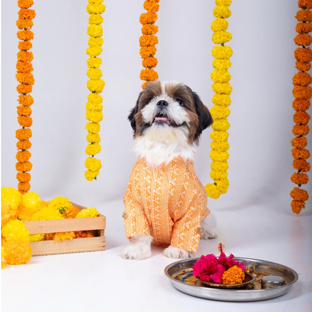 15 Furries Haldi Kurta for Dogs - Image 7