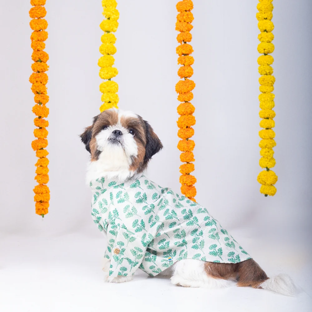 15 Furries Hariyali Kurta for Dogs - Image 5