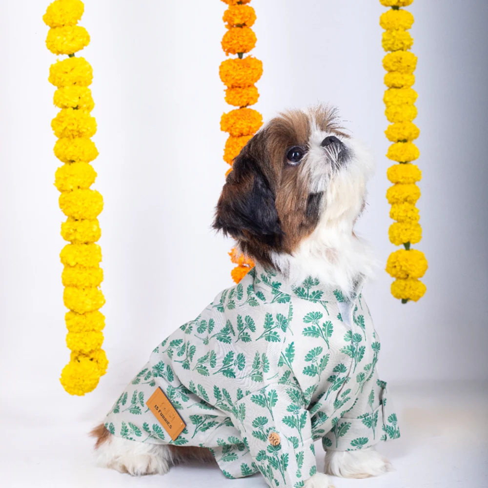 15 Furries Hariyali Kurta for Dogs - Image 6