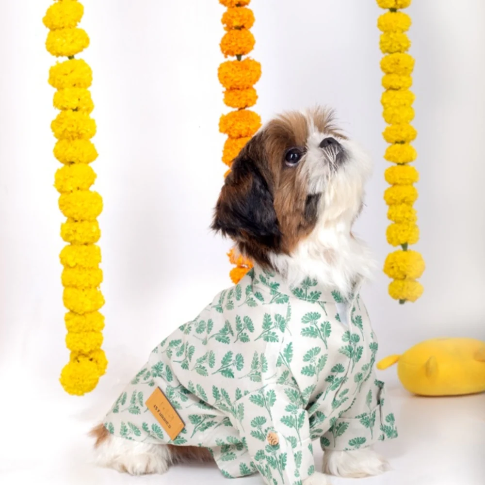 15 Furries Hariyali Kurta for Dogs - Image 8