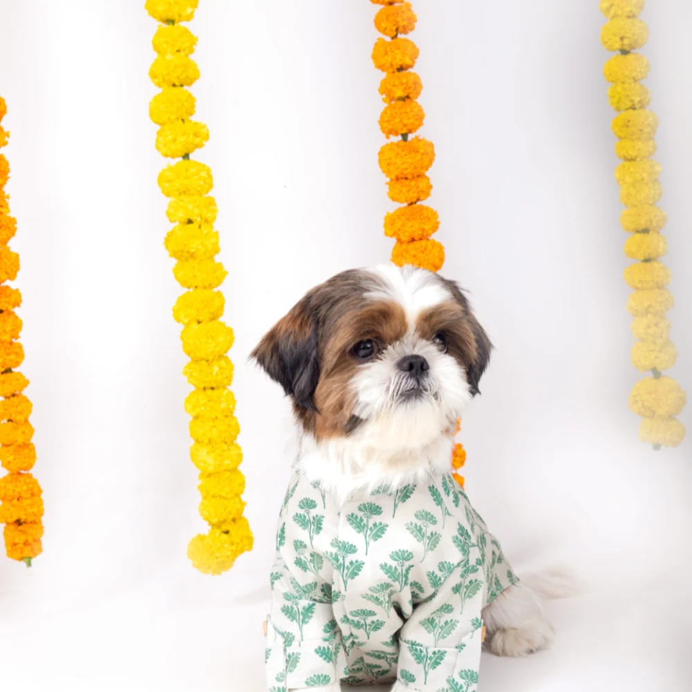 15 Furries Hariyali Kurta for Dogs - Image 9