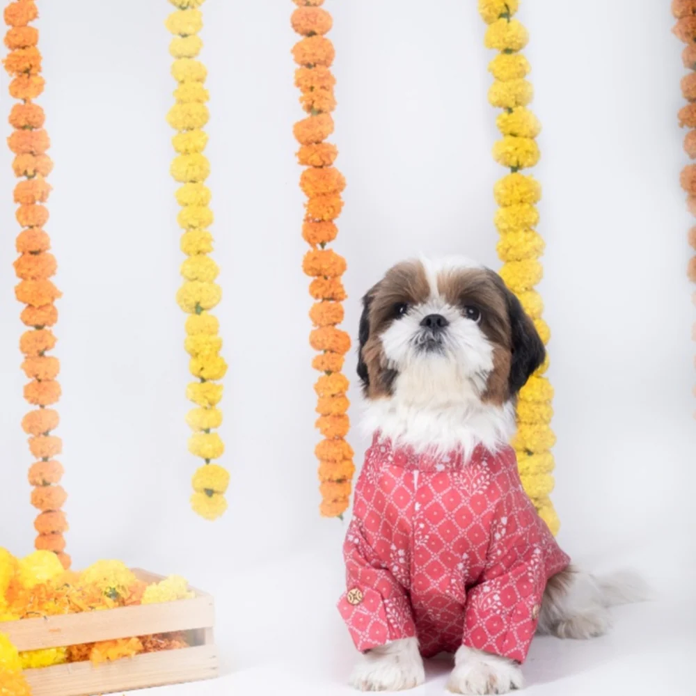 15 Furries Khushi Kurta for Dogs - Image 2
