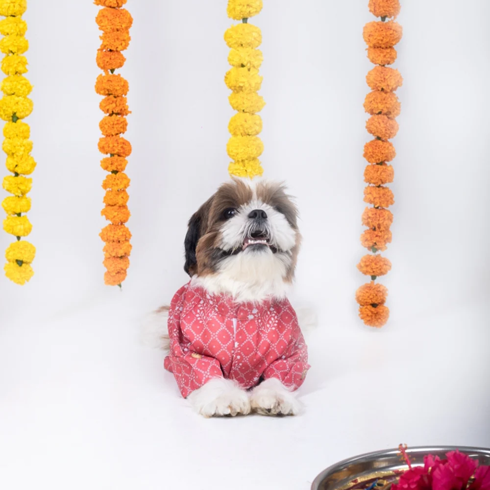 15 Furries Khushi Kurta for Dogs - Image 4