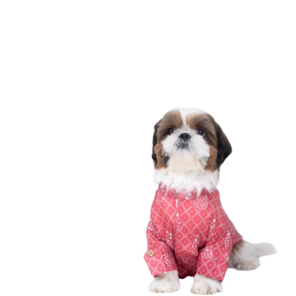 15 Furries Khushi Kurta for Dogs - Image 5