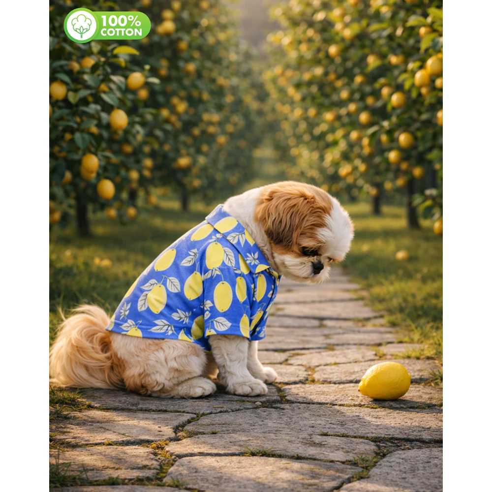 15 Furries Lemon Printed Cotton Shirts for Dogs (Royal Blue) - Image 2