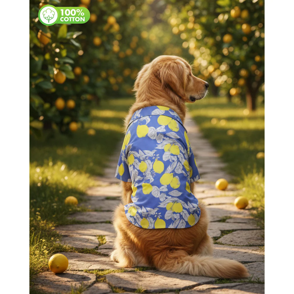 15 Furries Lemon Printed Cotton Shirts for Dogs (Royal Blue) - Image 3
