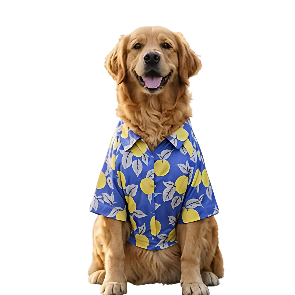 15 Furries Lemon Printed Cotton Shirts for Dogs (Royal Blue) - Image 4