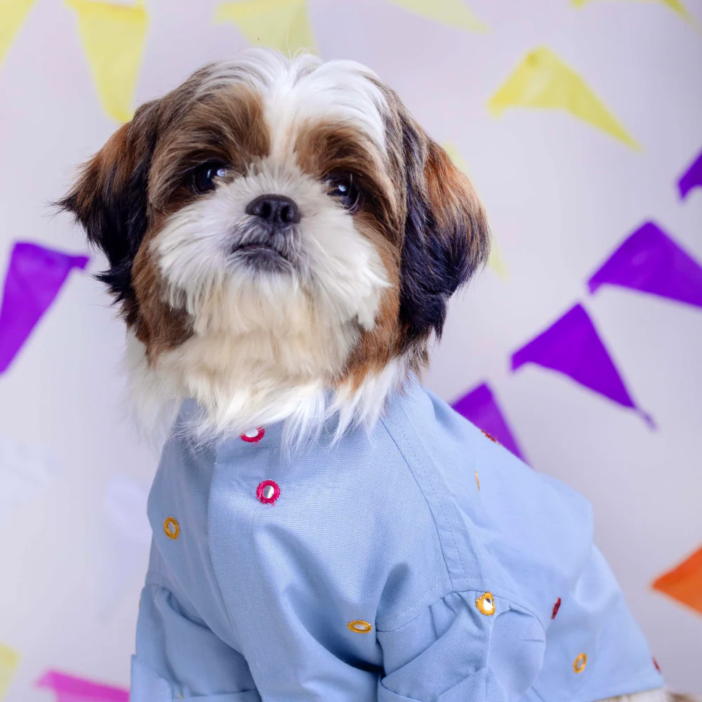 15 Furries Mirrorwork Kurta for Dogs (Blue) - Image 4