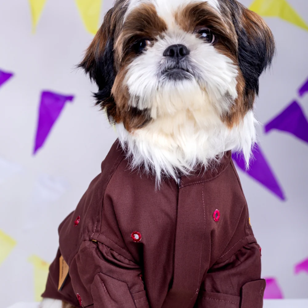 15 Furries Mirrorwork Kurta for Dogs (Chocolate Brown) - Image 3