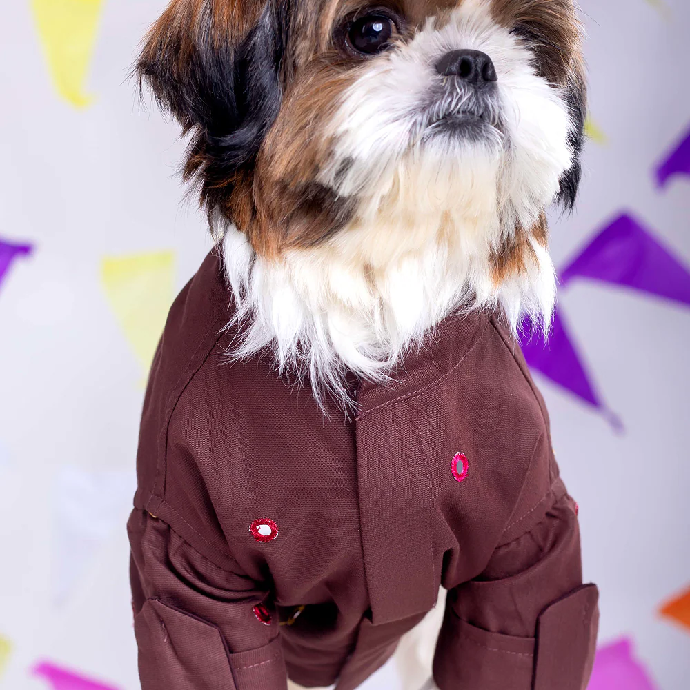 15 Furries Mirrorwork Kurta for Dogs (Chocolate Brown) - Image 5