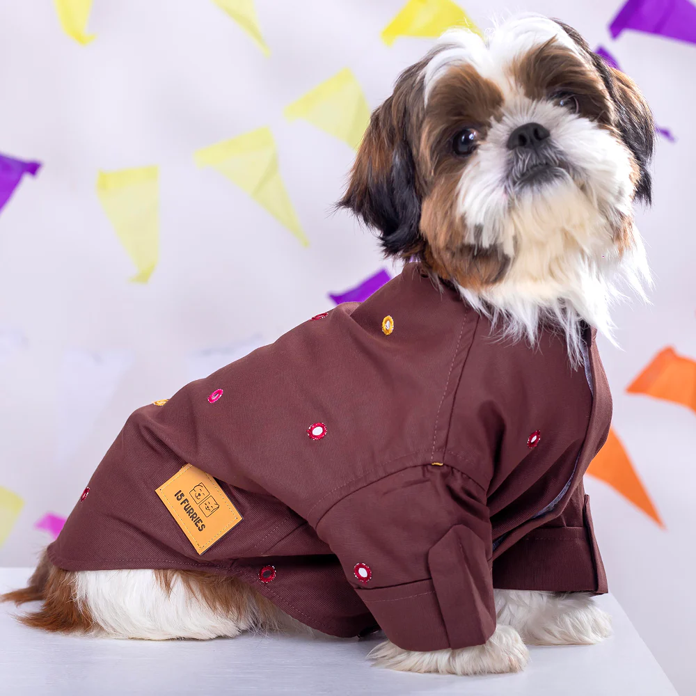 15 Furries Mirrorwork Kurta for Dogs (Chocolate Brown) - Image 6