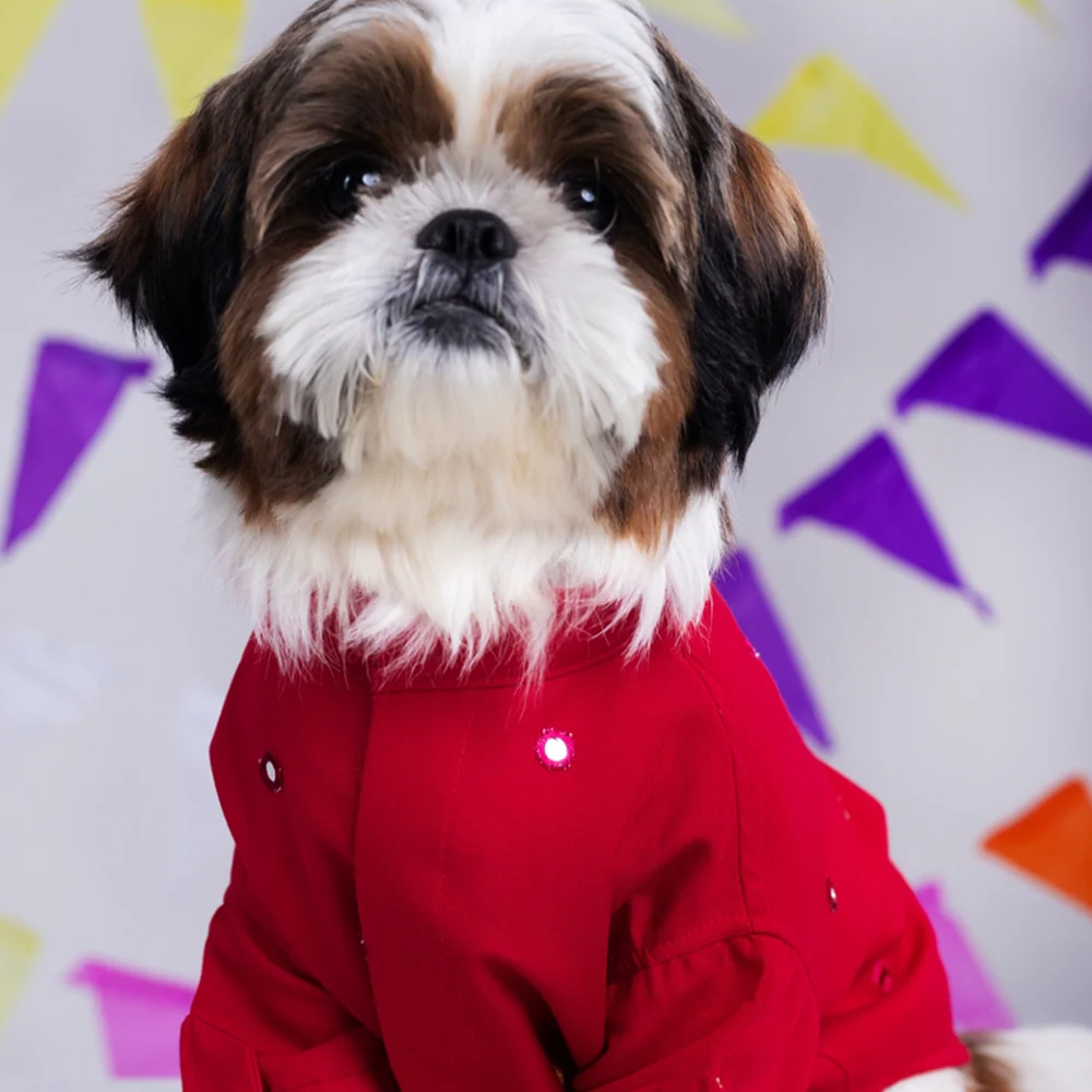 15 Furries Mirrorwork Kurta for Dogs (Electric Red) - Image 3