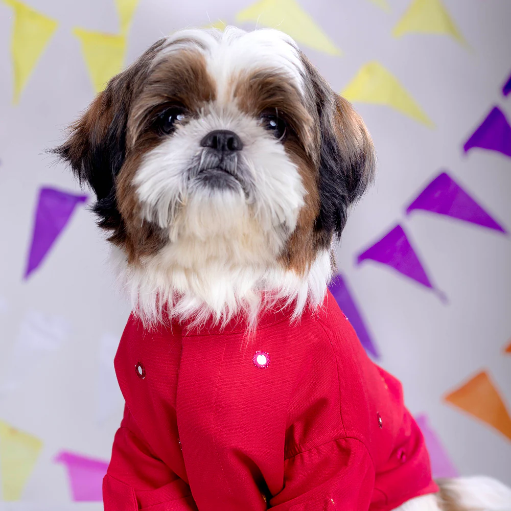 15 Furries Mirrorwork Kurta for Dogs (Electric Red) - Image 7