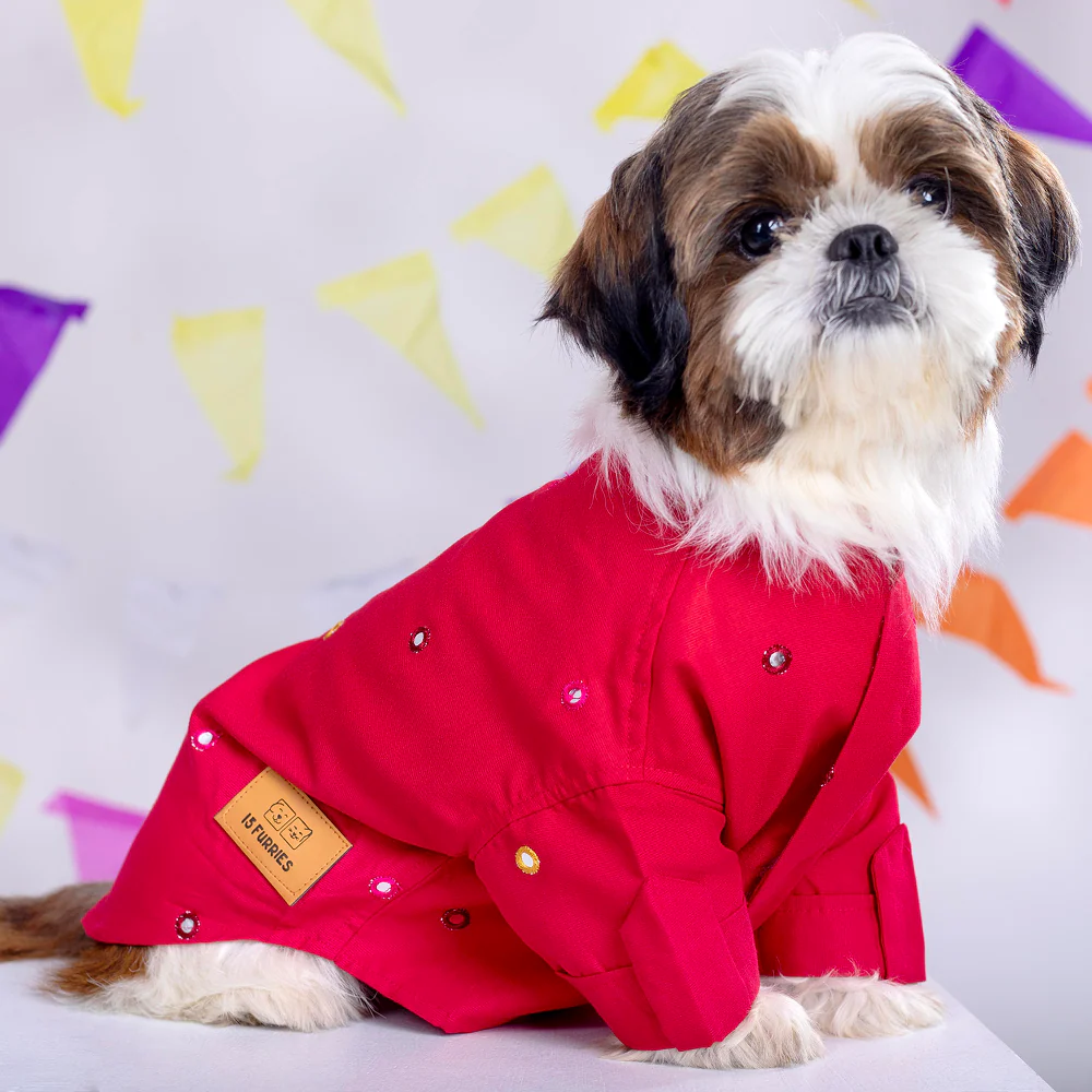 15 Furries Mirrorwork Kurta for Dogs (Electric Red) - Image 8