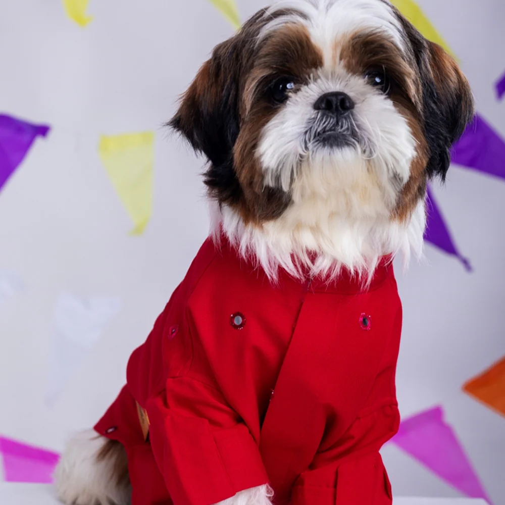 15 Furries Mirrorwork Kurta for Dogs (Electric Red) - Image 9