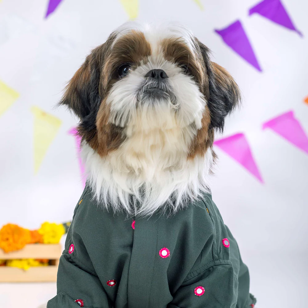 15 Furries Mirrorwork Kurta for Dogs (Hunter Green) - Image 3