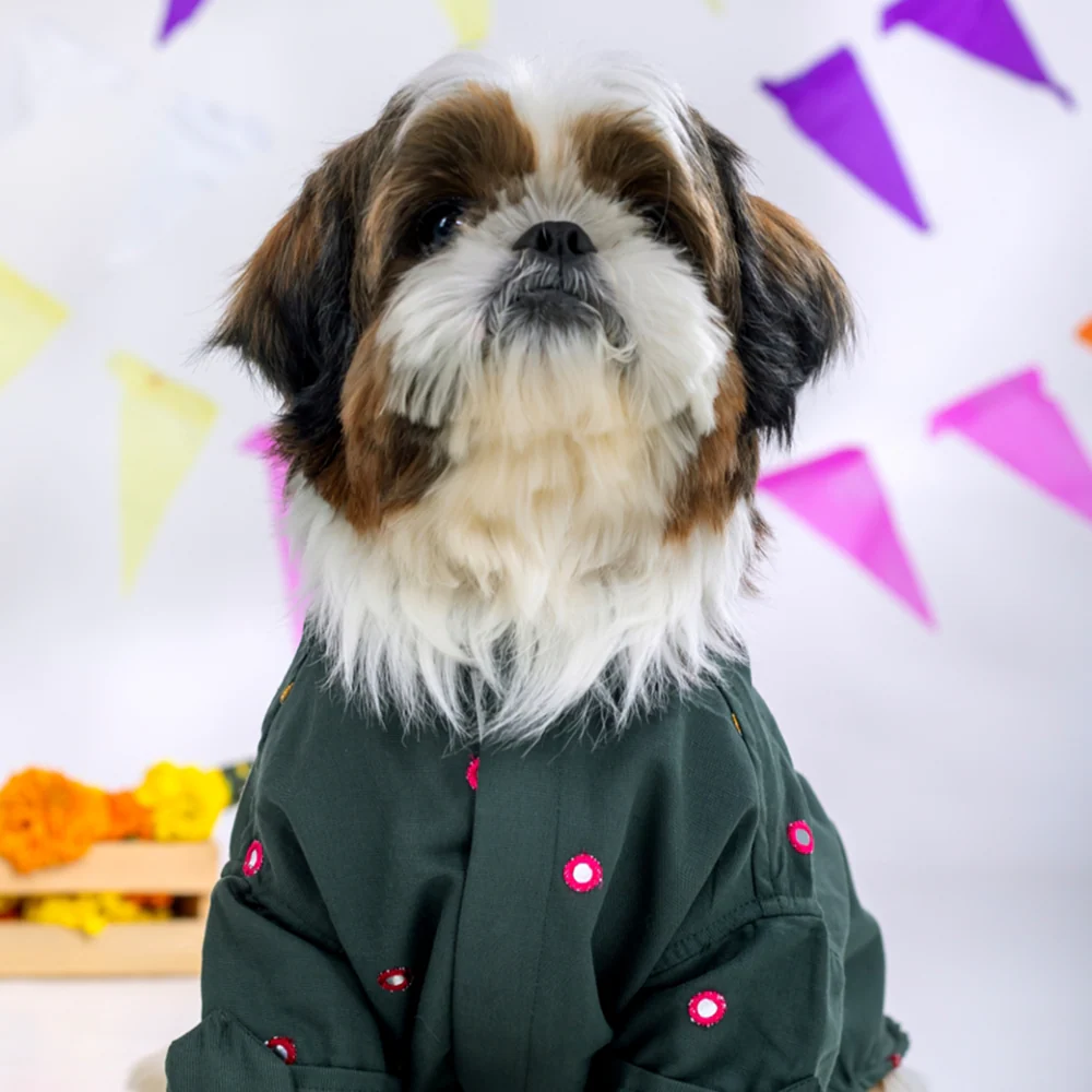 15 Furries Mirrorwork Kurta for Dogs (Hunter Green) - Image 7