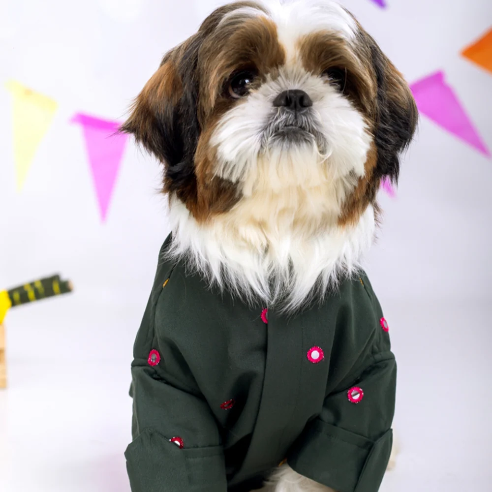 15 Furries Mirrorwork Kurta for Dogs (Hunter Green) - Image 8