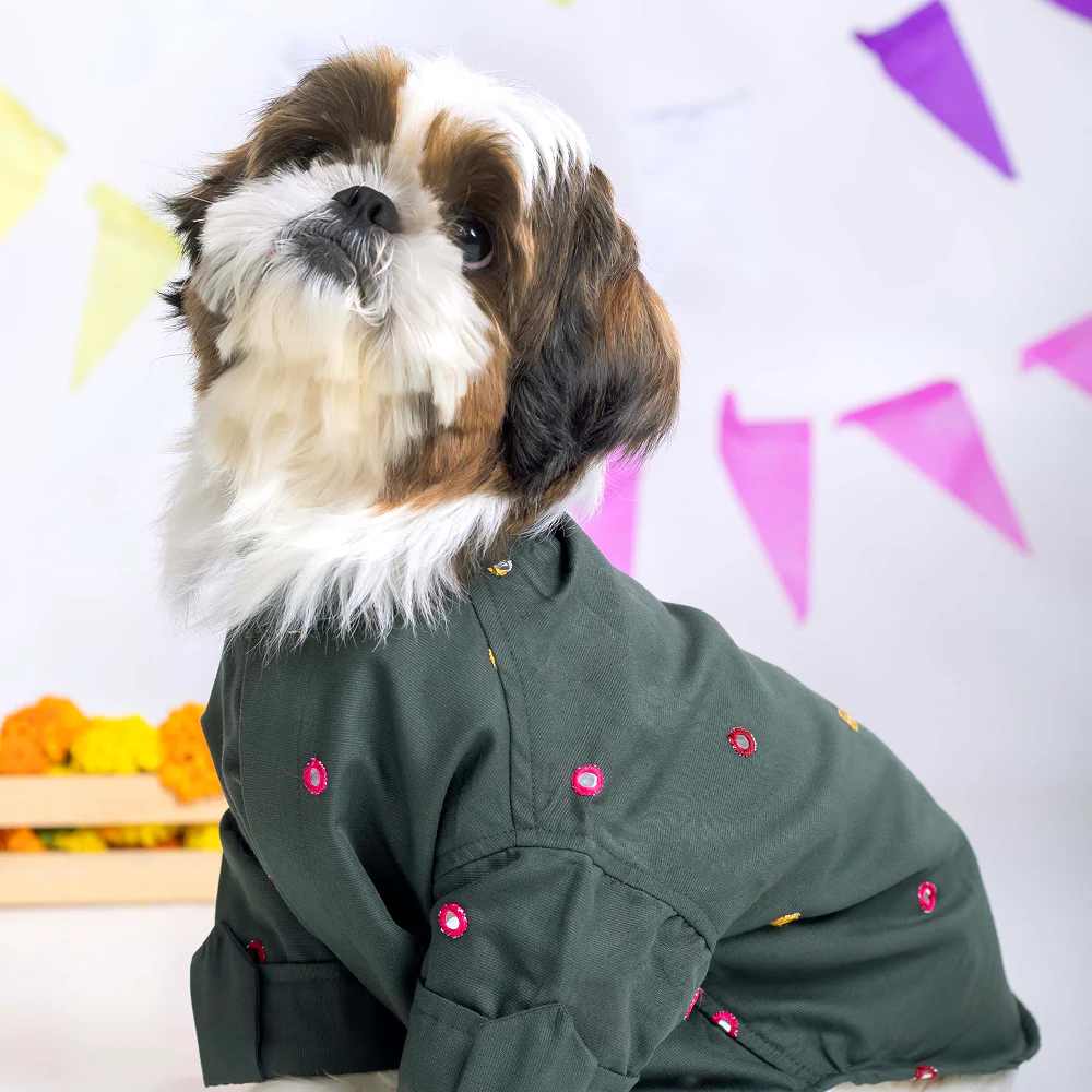15 Furries Mirrorwork Kurta for Dogs (Hunter Green) - Image 9