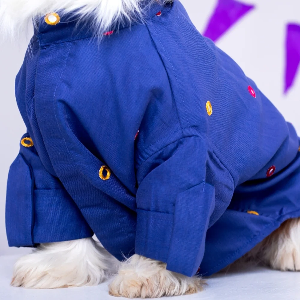 15 Furries Mirrorwork Kurta for Dogs (Persian Blue) - Image 4