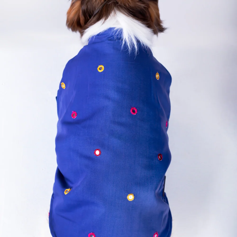 15 Furries Mirrorwork Kurta for Dogs (Persian Blue) - Image 5