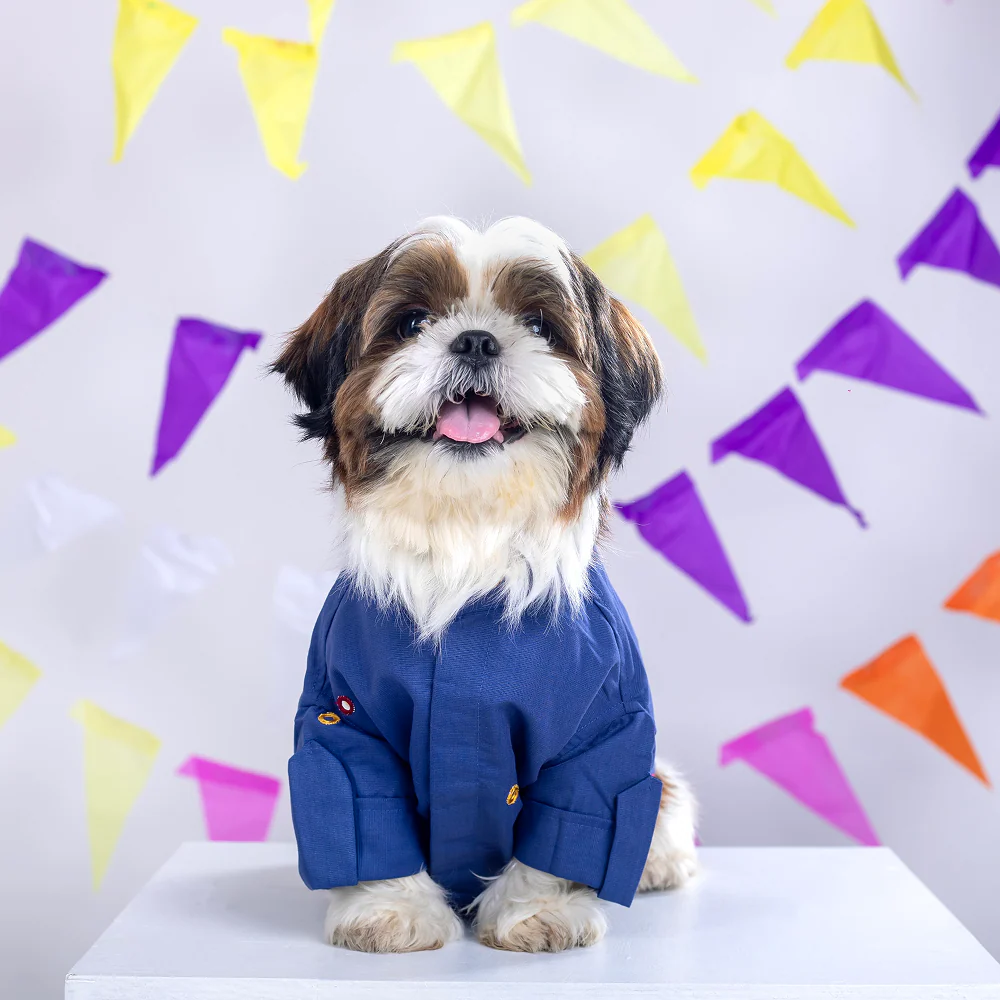 15 Furries Mirrorwork Kurta for Dogs (Persian Blue) - Image 6