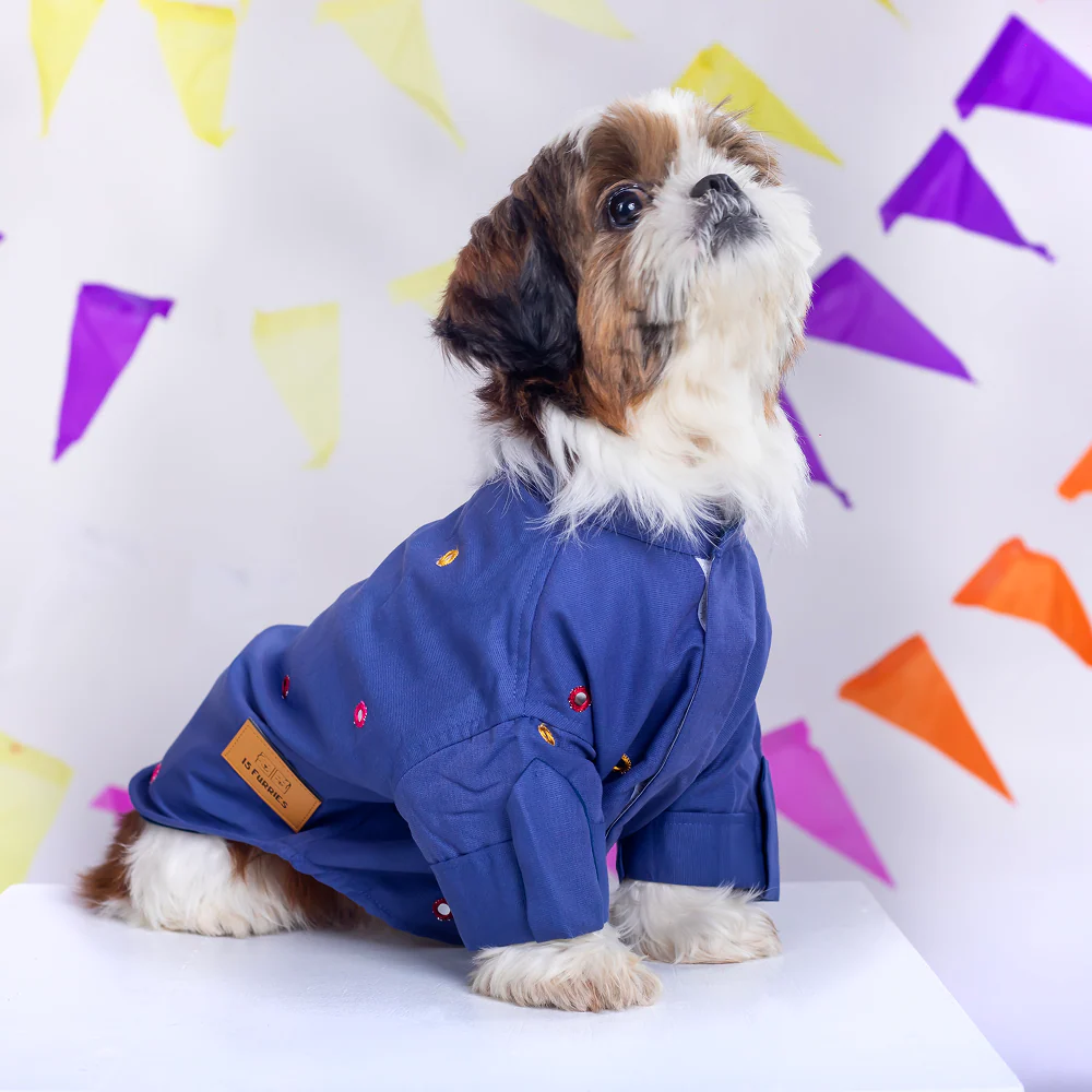 15 Furries Mirrorwork Kurta for Dogs (Persian Blue) - Image 7