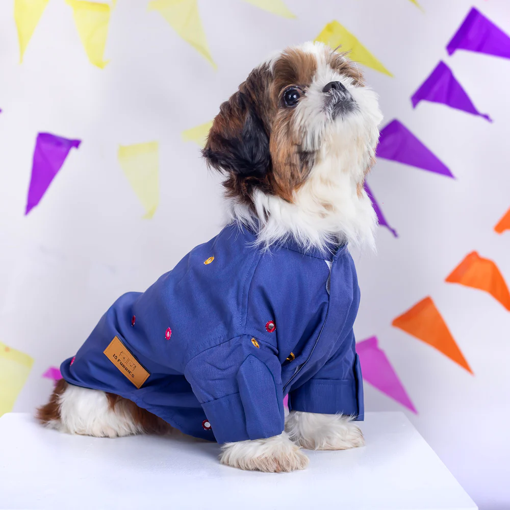 15 Furries Mirrorwork Kurta for Dogs (Persian Blue) - Image 8