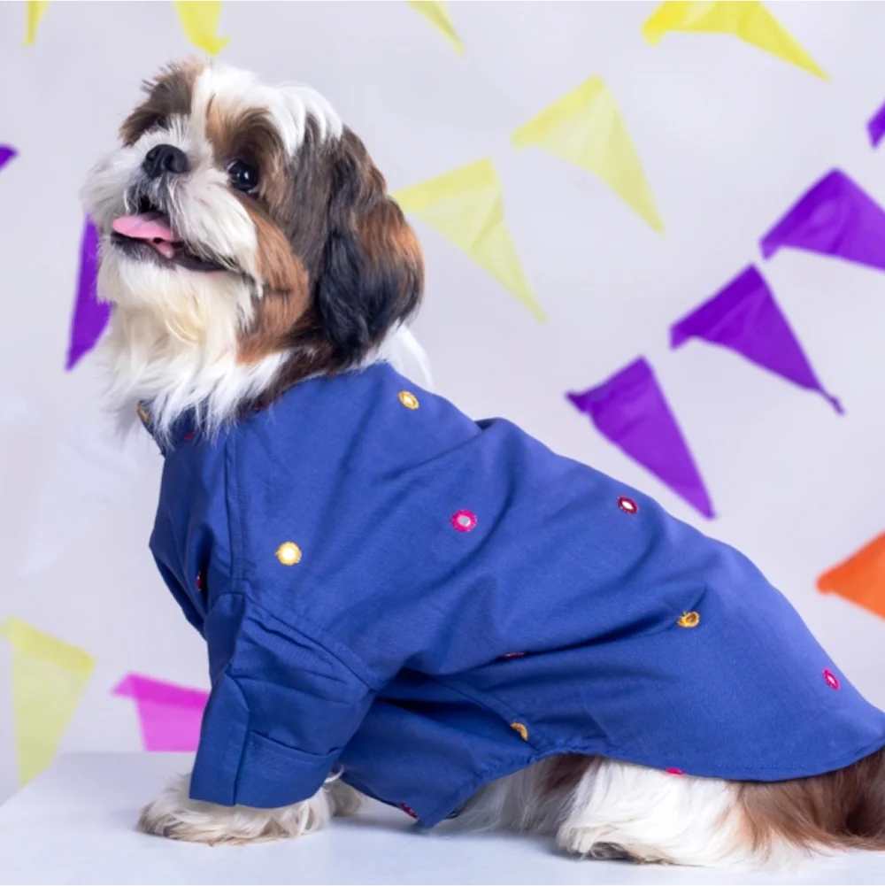 15 Furries Mirrorwork Kurta for Dogs (Persian Blue) - Image 9