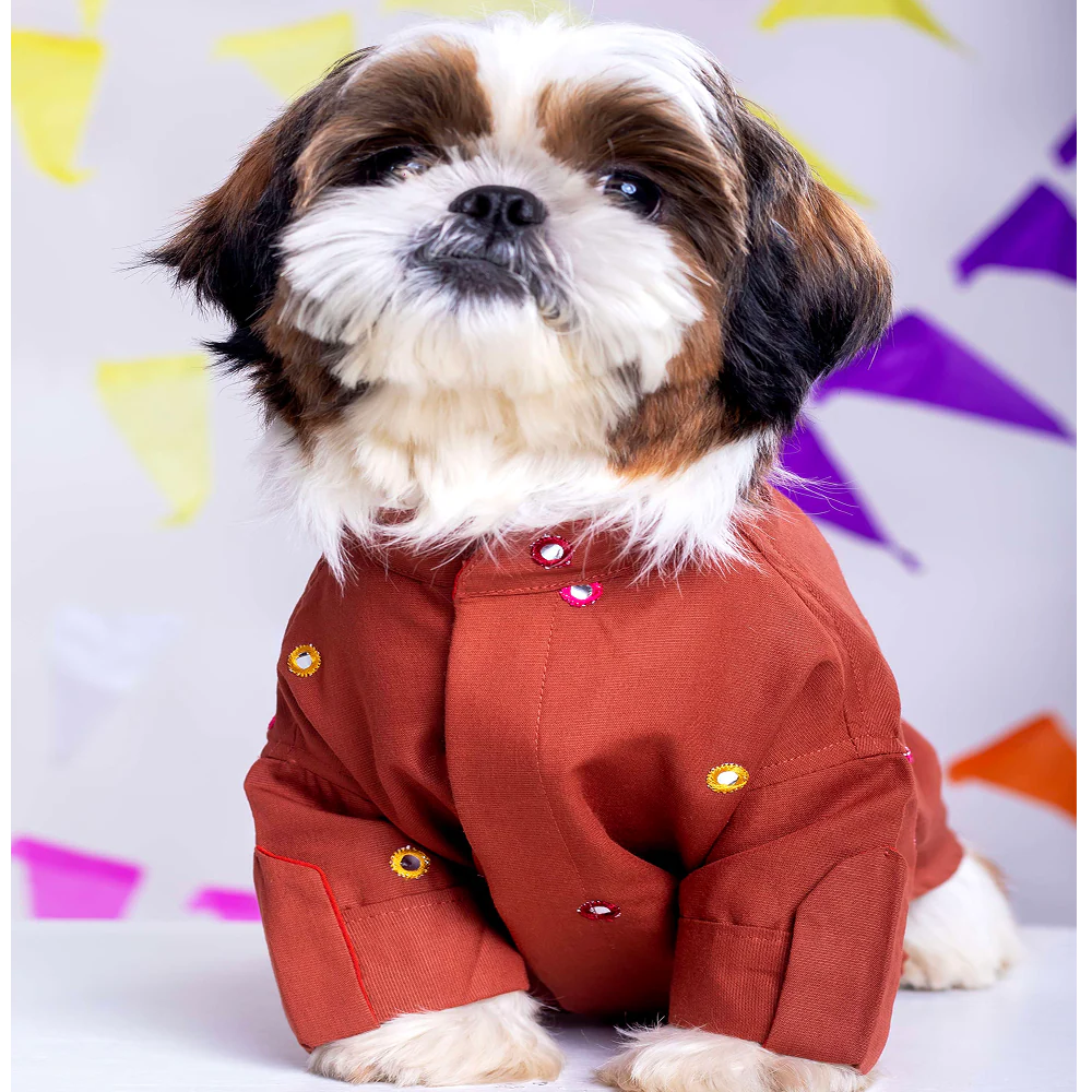 15 Furries Mirrorwork Kurta for Dogs (Rust Orange) - Image 3