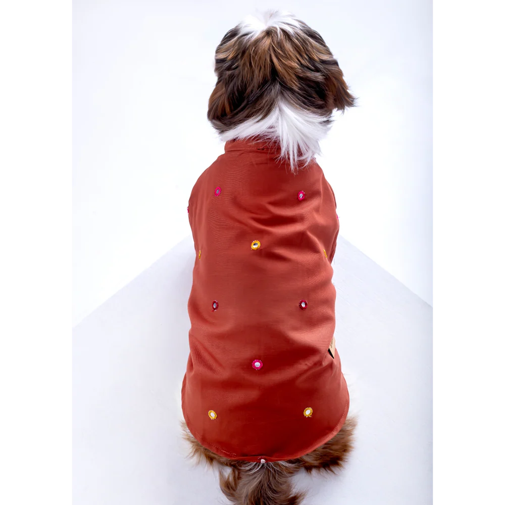 15 Furries Mirrorwork Kurta for Dogs (Rust Orange) - Image 4