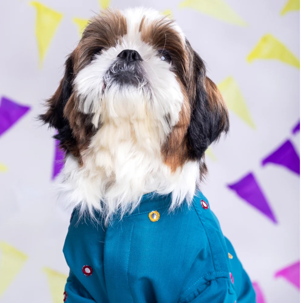15 Furries Mirrorwork Kurta for Dogs (Teal Blue) - Image 7