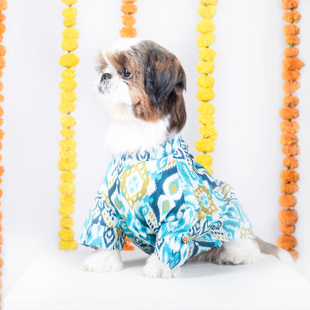 15 Furries Nawab Kurta for Dogs - Image 2