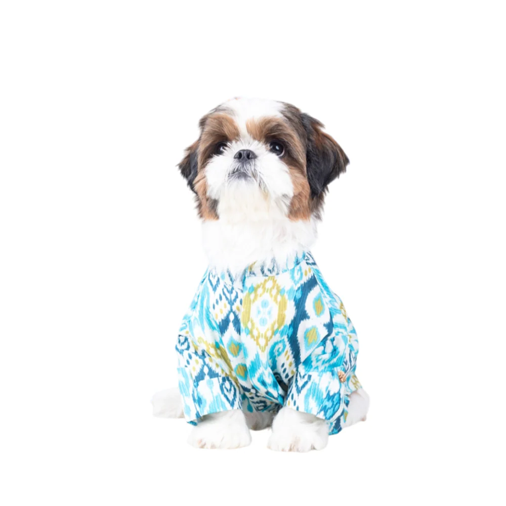 15 Furries Nawab Kurta for Dogs - Image 4