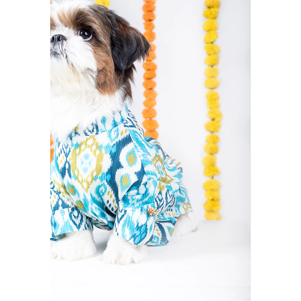 15 Furries Nawab Kurta for Dogs - Image 5